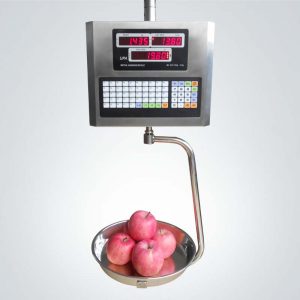 电子价秤UPA-T